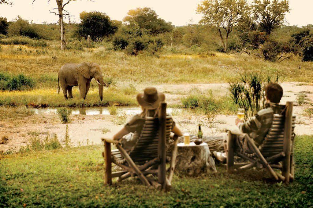Lodge Motswari Private Game Reserve By Newmark